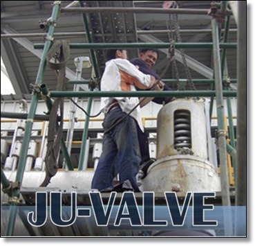 Safety Valve